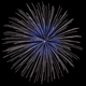 Illustration for article titled 75 Explosive Photos of Fireworks